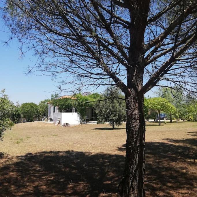 Villa Del Glicine Muro Leccese Exterior photo
